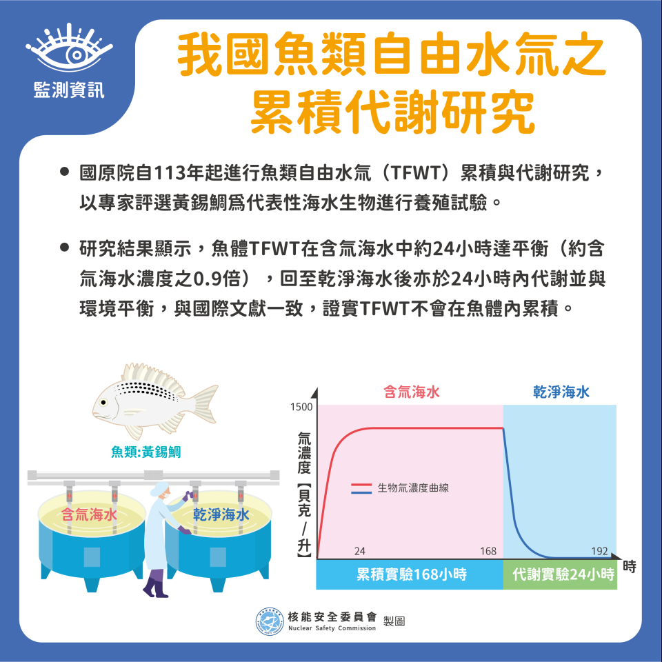 國原院自113年起進行魚類自由水氚（TFWT）累積與代謝研究，以專家評選黃錫鯛為代表性海水生物進行養殖試驗。 研究結果顯示，魚體TFWT在含氚海水中約24小時達累積平衡，平衡後約為含氚海水濃度之0.9倍，將魚放回至乾淨海水後，亦於24小時內代謝並與環境海水氚平衡，其趨勢與國際文獻一致，證實TFWT不會在魚體內累積。圖片